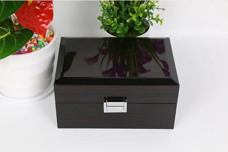 Torelian Premium Watch Box